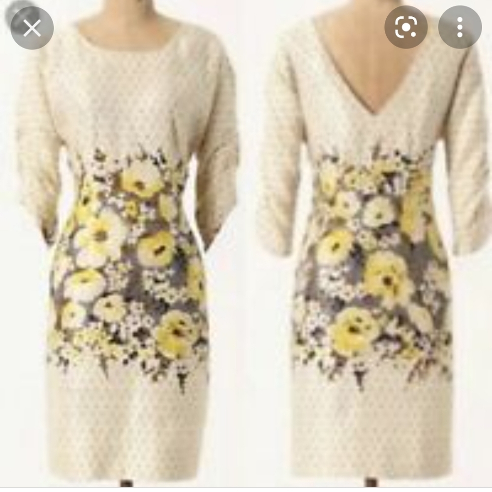 Anthropologie Dress